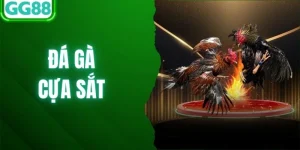 Đá Gà Cựa Sắt Là Gì? Bí Kíp Săn Thưởng Giá Trị Tại GG88