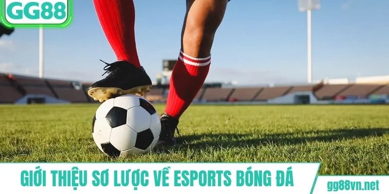 Giới thiệu sơ lược về esports bóng đá