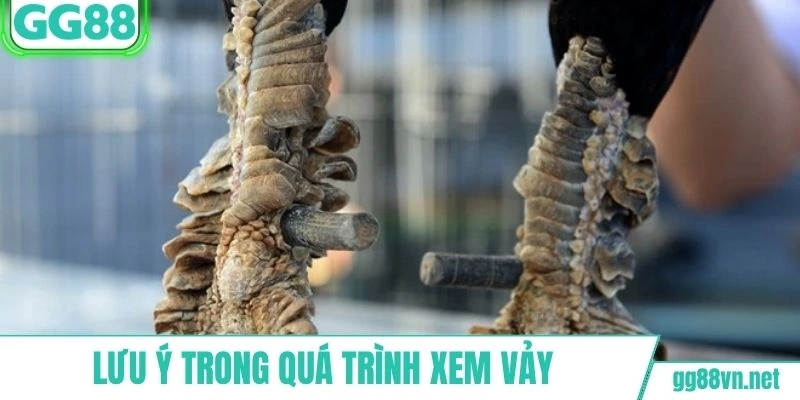 Lưu ý trong quá trình áp dụng xem vảy